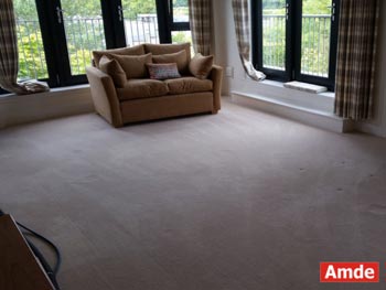 nice domestic living room carpet cleaning