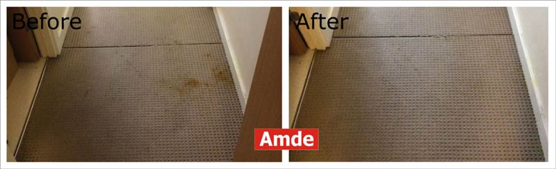 old blood stains were removed after cleaning the woolen carpet of an apartment in Edinburgh, Trinity area